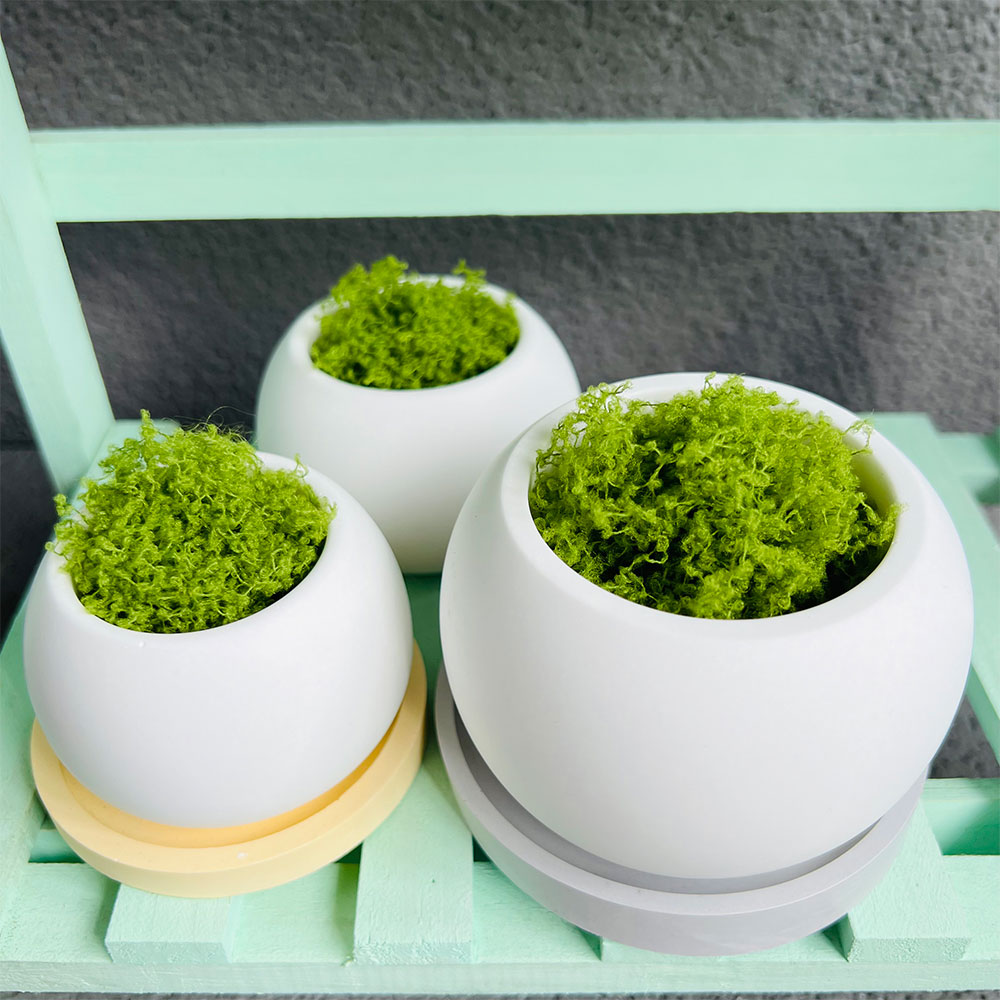 Spherical Flowerpot Silicone M - Serving Tray Mold review and price