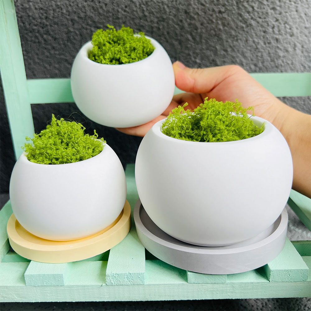 Spherical Flowerpot Silicone M - Serving Tray Mold review and price