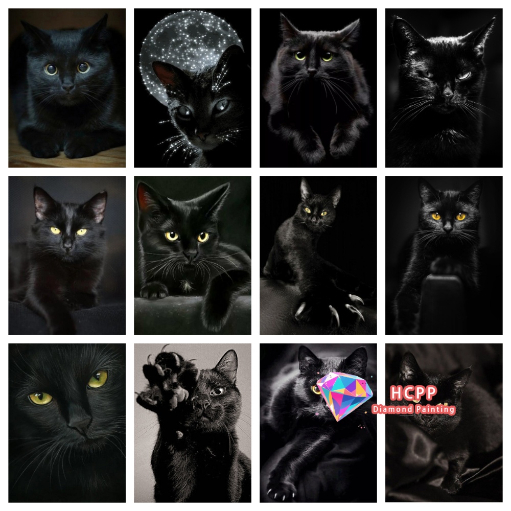 unframe Black Cat Animal Diamo - Resin Craft Kit review and price