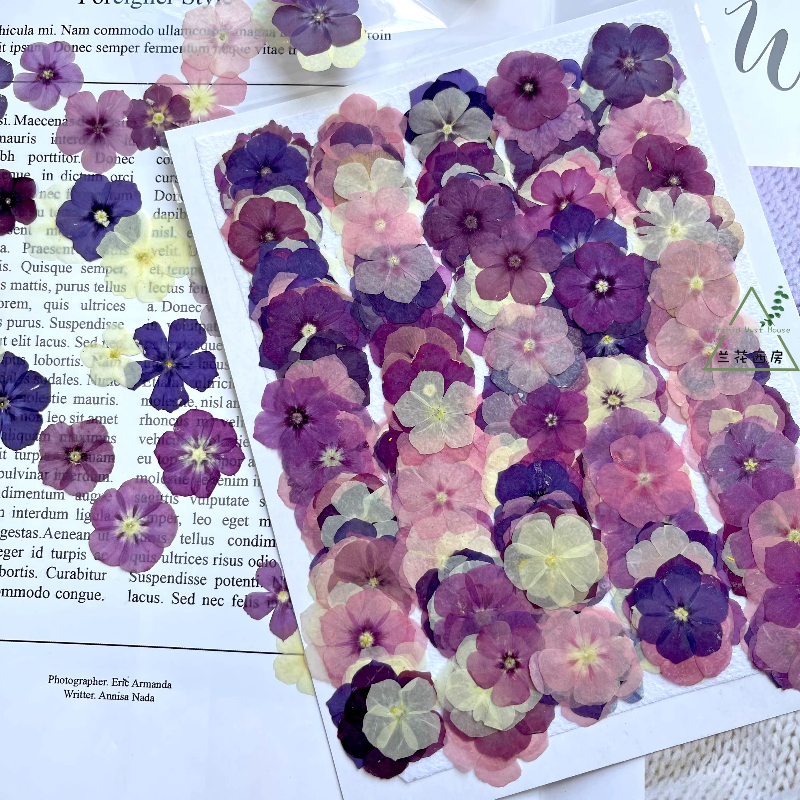 12pcs,Semi-Transparent Niche P - Resin Craft Ideas review and price